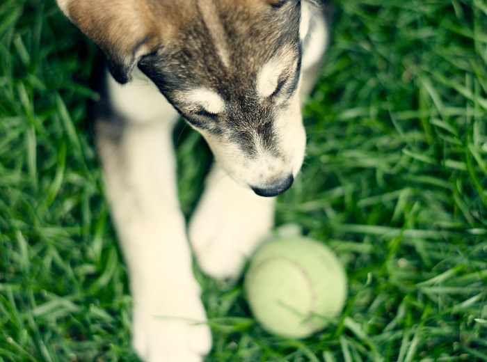 免费cc攻击测试