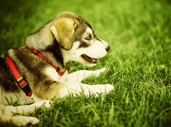 ddos流量攻击购买